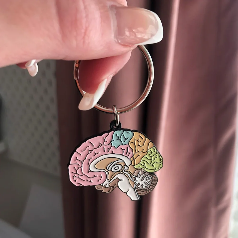 Porte-clés cerveau anatomique multicolore vu de face