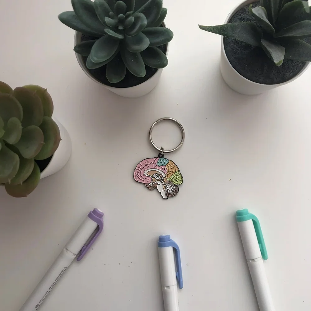 Porte-clés cerveau posé près de stylos